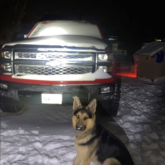 Meet your Posher, Christian - Picture 1 of 1